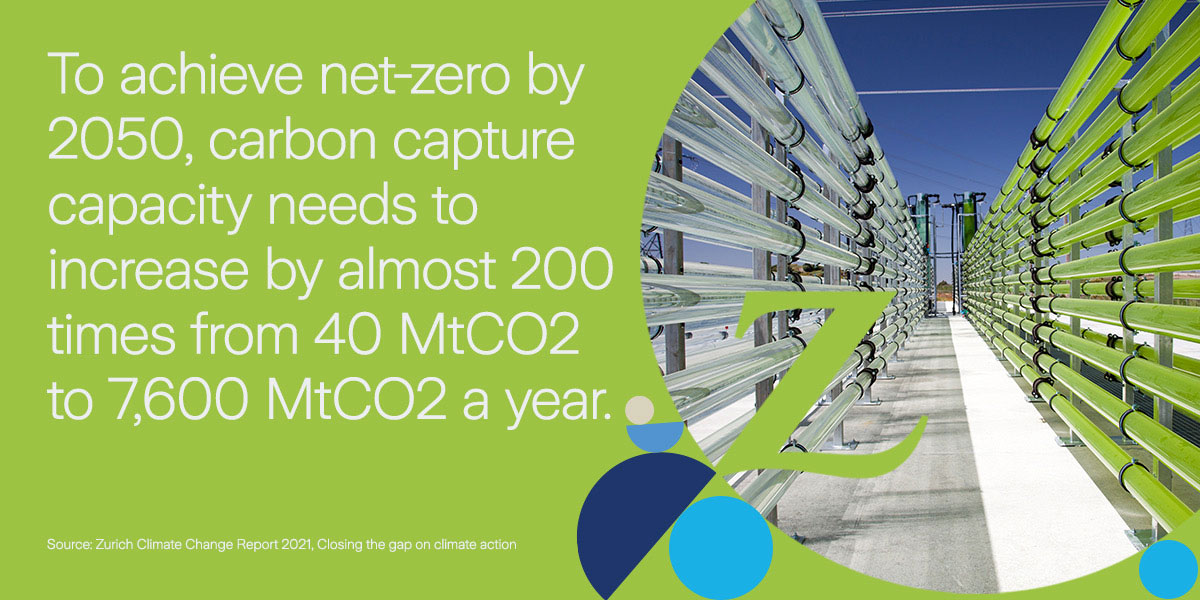fast fact carbon capture capacity