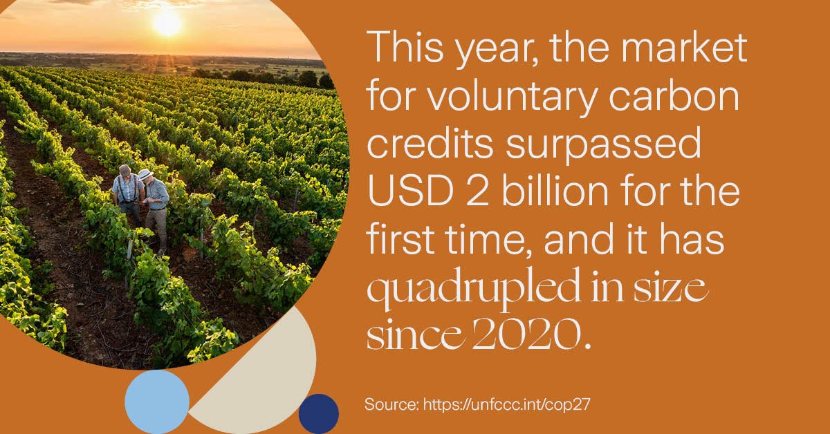fast fact about voluntary carbon credits