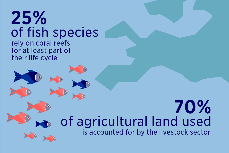 Fast fact Biodiversity loss