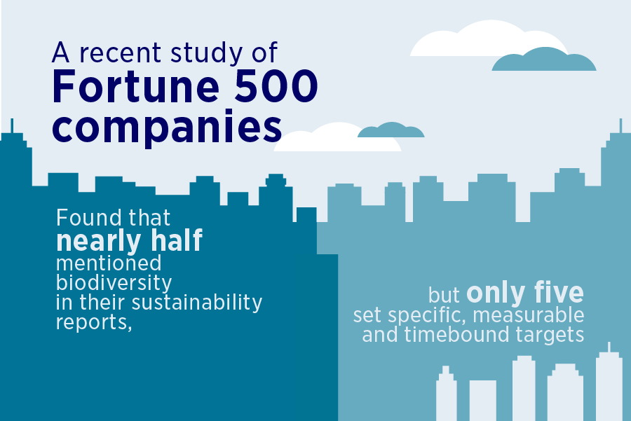 Fast fact Fortune 500 companies