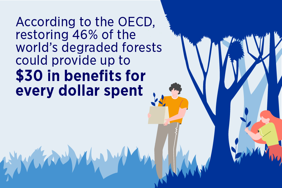 Fast fact restoring forests