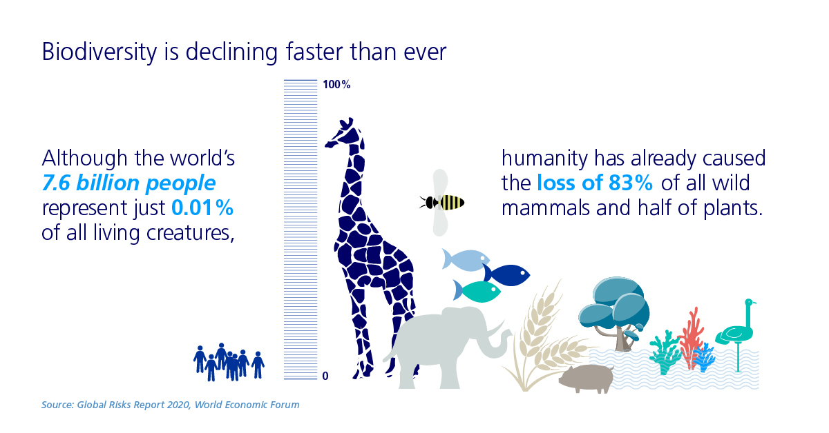biodiversity declining infographic