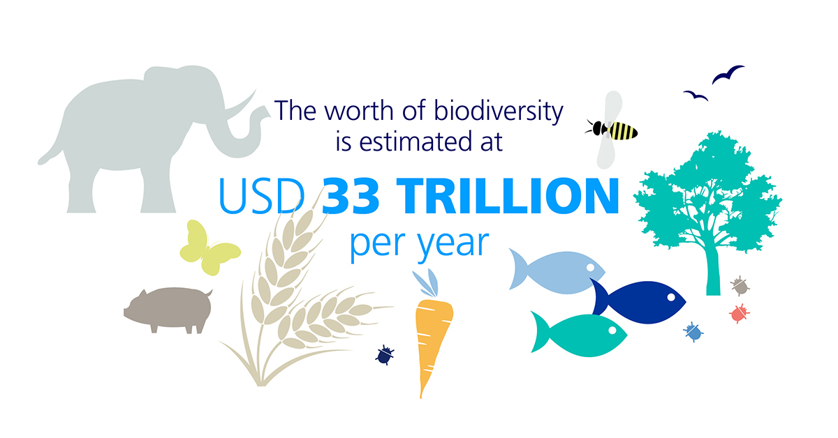 biodiversity infographic