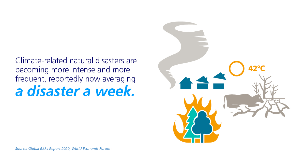 natural disasters infographic