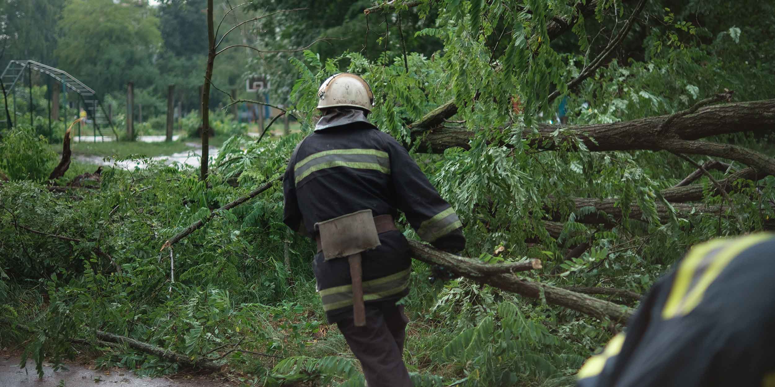 firefighters moving trees