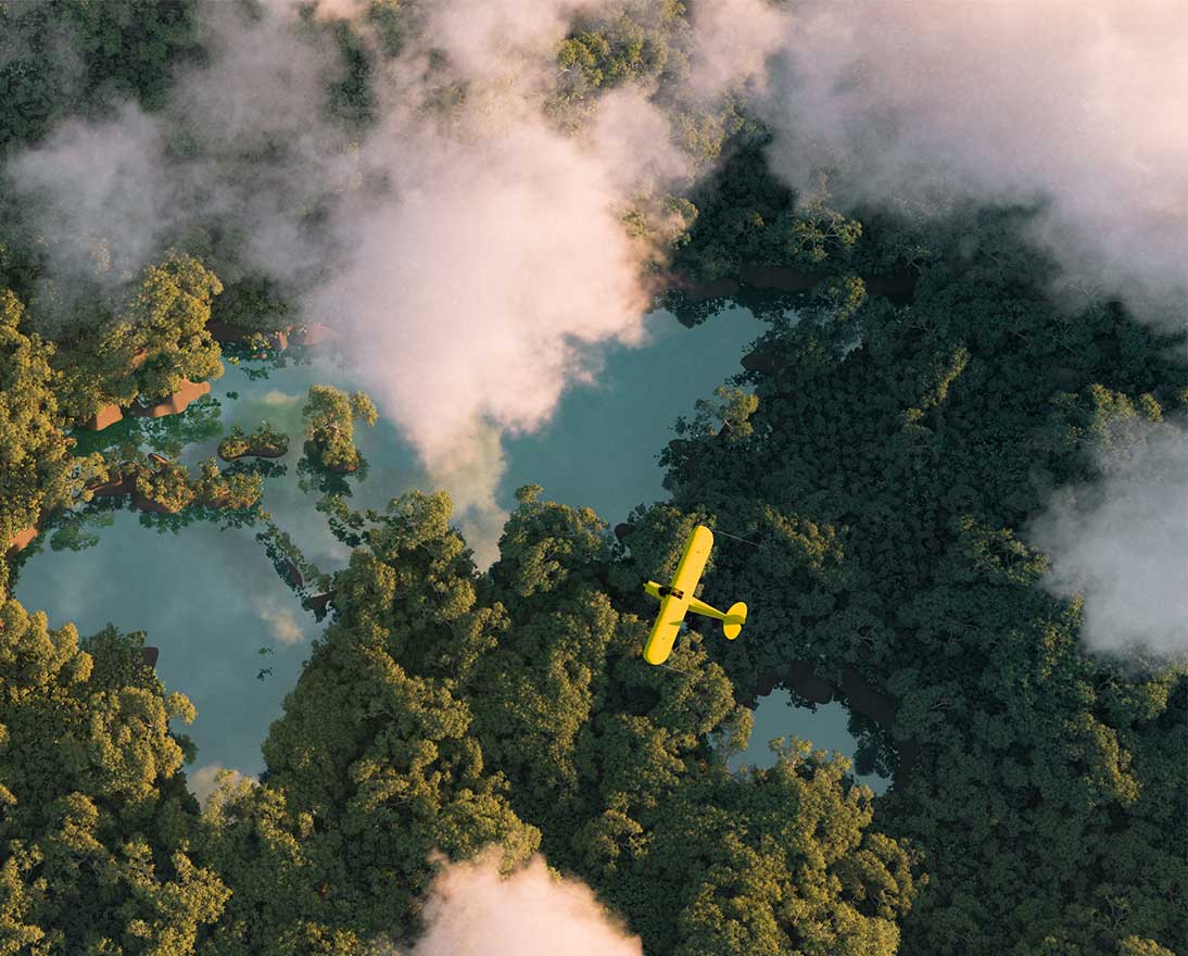 Aerial view of the rainforest