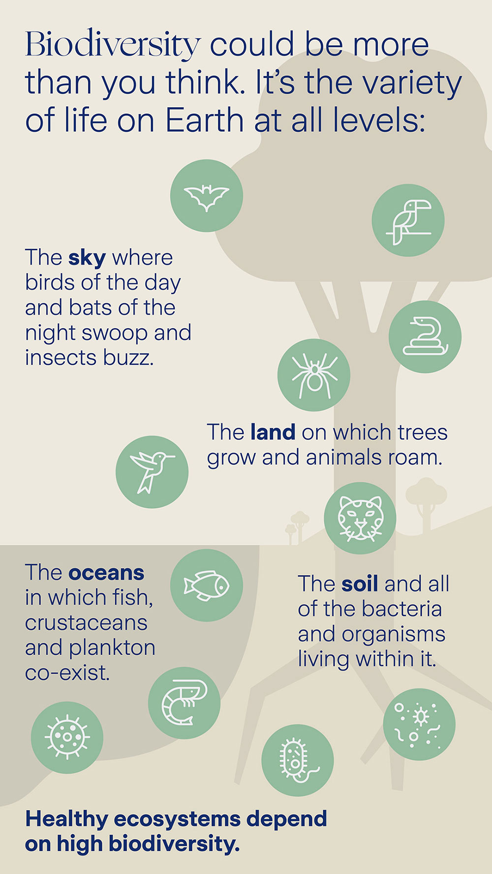 Biodiversity infographic