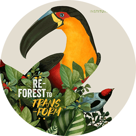 Instituto Terra's latest campaign #ReforestToTransform